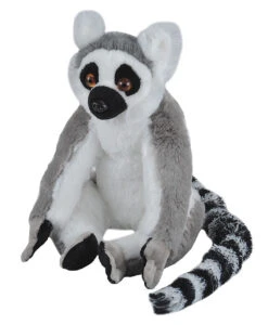 Ring Tailed Lemur