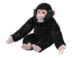 Artist Collection - Chimpanzee Baby