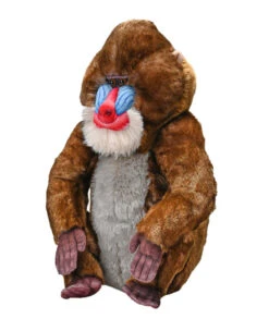 Artist Collection - Mandrill