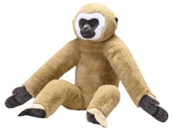 Artist Collection - White Hand Gibbon