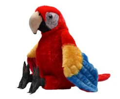 Artist Collection - Scarlet Macaw