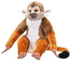 Artist Collection - Squirrel Monkey