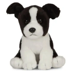 Living Nature Border Collie Puppy