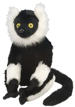 Black & Whiter Ruffed Lemur